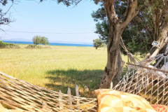 Tenedos Bahçe
